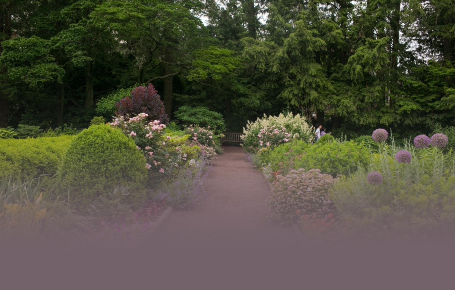 חשיבה הנדסית עם ניסיון מוכח